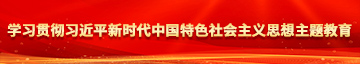 男人的逼逼插进女人的逼逼学习贯彻习近平新时代中国特色社会主义思想主题教育